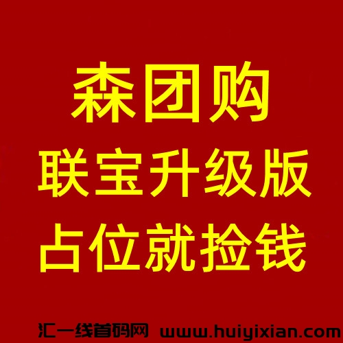 森团购,联宝升级版,公排二二复制滑落模式,实体公司支持考察,抢占先机-汇一线首码网