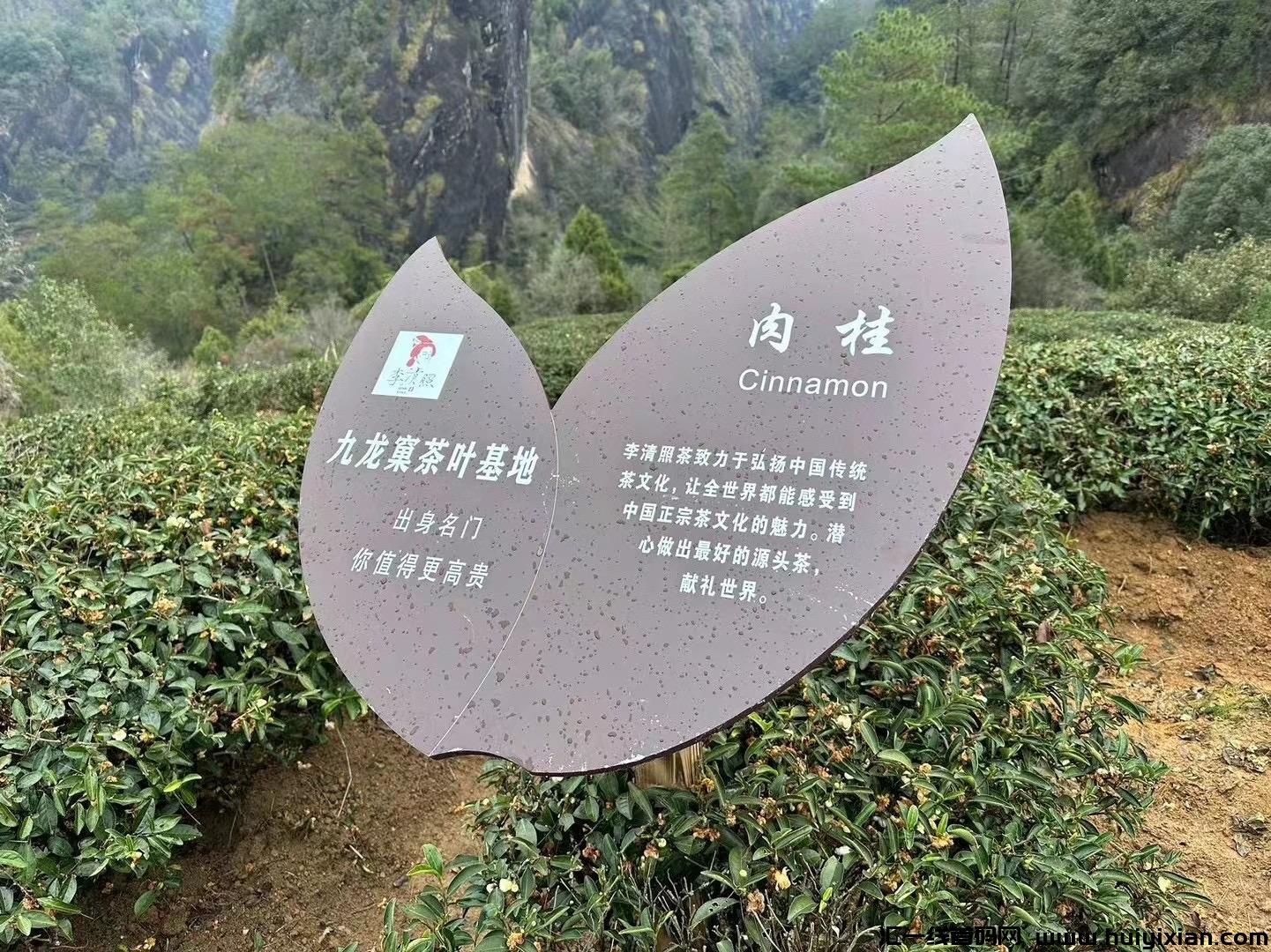 a94244e23b20240424180950