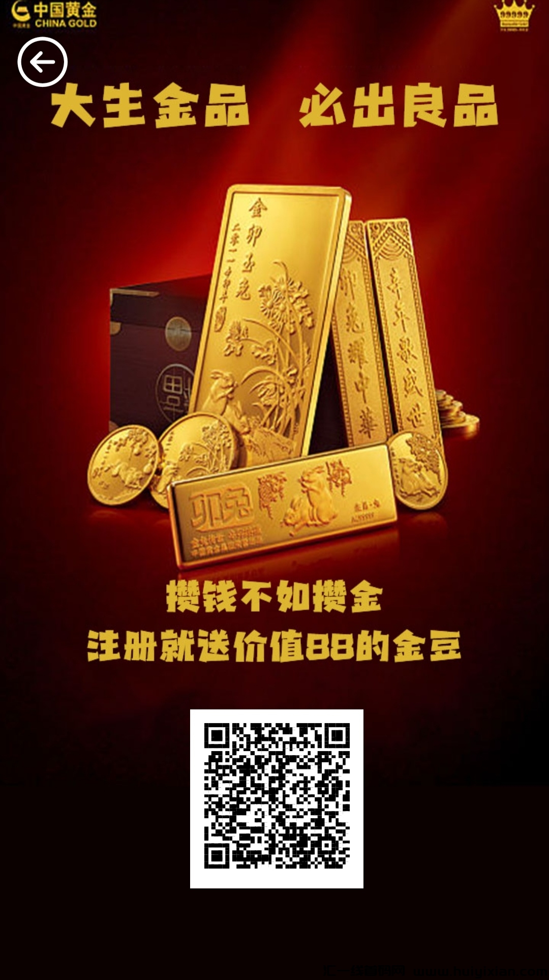 大生金品,今日震撼上线,全新零撸项目-汇一线首码网