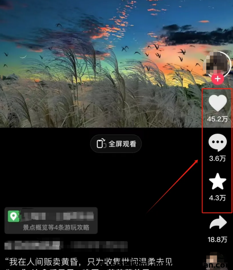 快速变现！几分钟制作，视频轻松赚￥1000+，收益翻倍不是梦！-汇一线首码网