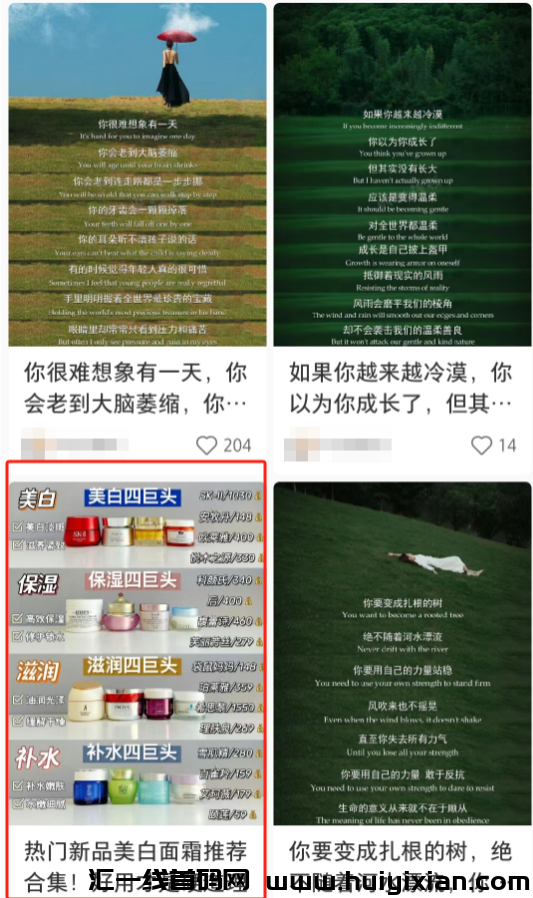 图片[3]-快速吸金玩法，一单￥300+，轻松月入过万！-汇一线首码网
