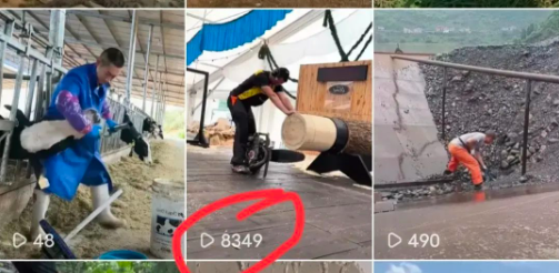 图片[2]-亲测蓝海项目，7天合规收益2000+！新手抓紧玩！-汇一线首码网
