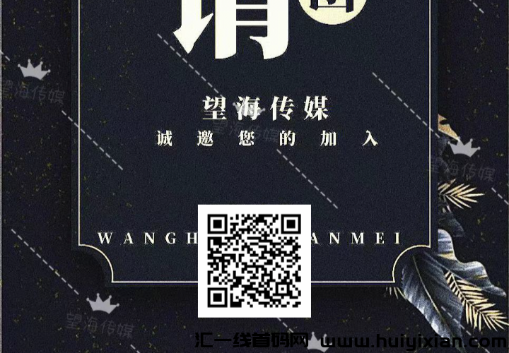 望海传媒平台，招募代理！-汇一线首码网