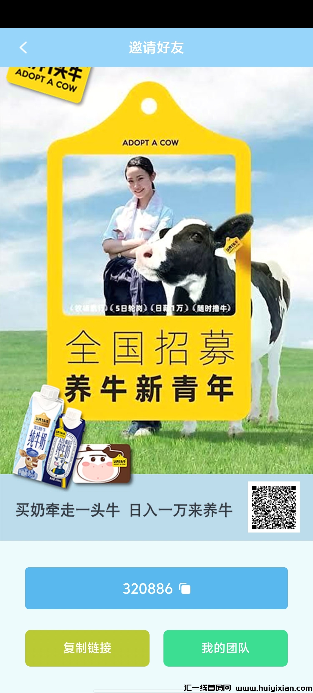 认养一头牛,首码项目,团队有扶持!-汇一线首码网