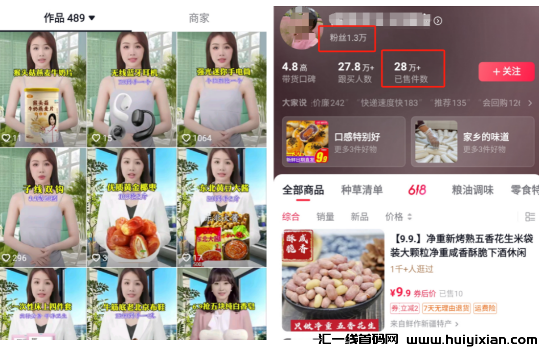 数字人带货,月赚30万+,带货最新教程玩法!-汇一线首码网