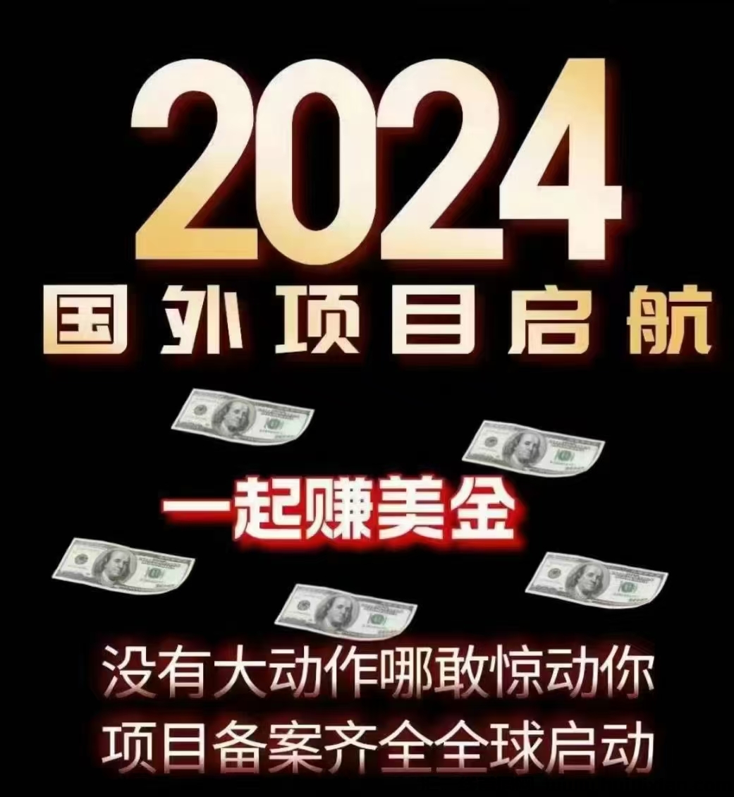 2024国外项目一起赚美刀,日薪结算!-汇一线首码网