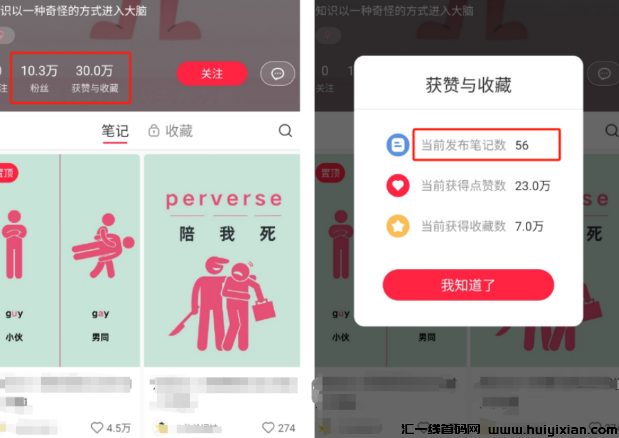 图片[2]-起号一个月，涨粉10万，合规收益3W+，太猛了！-汇一线首码网
