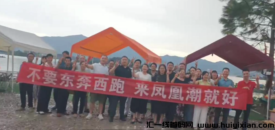 凤凰潮首码,零撸天花板,高扶持团队长每推奖励高-汇一线首码网