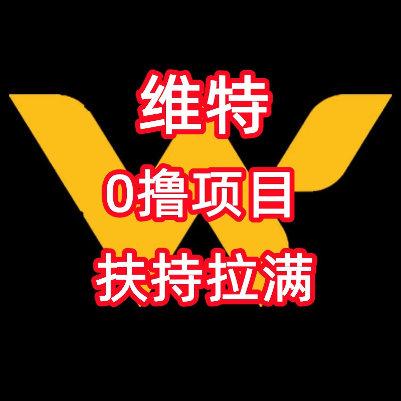 首码【维特】0撸项目,28号上线,团队扶持拉满-汇一线首码网