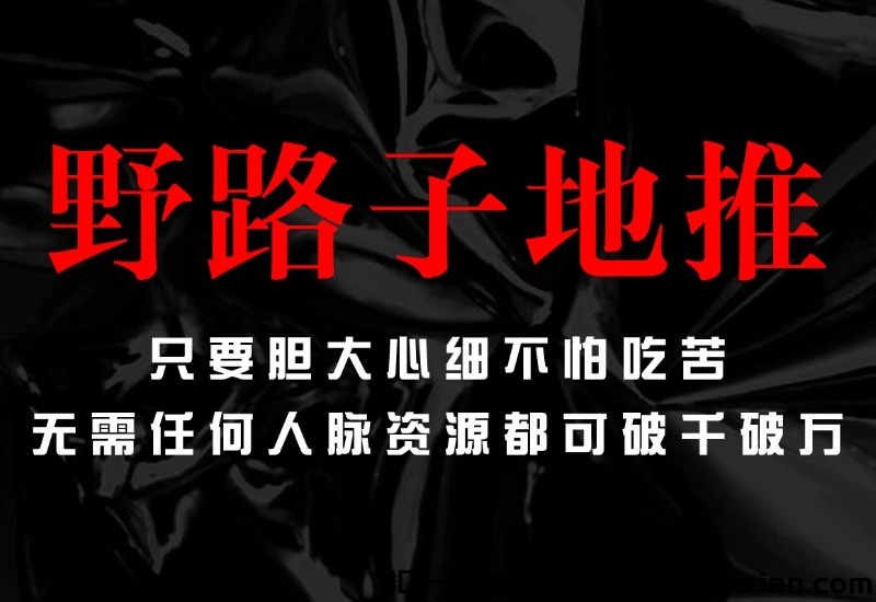 纯地推野路子项目,执行力强轻松破千破万-汇一线首码网