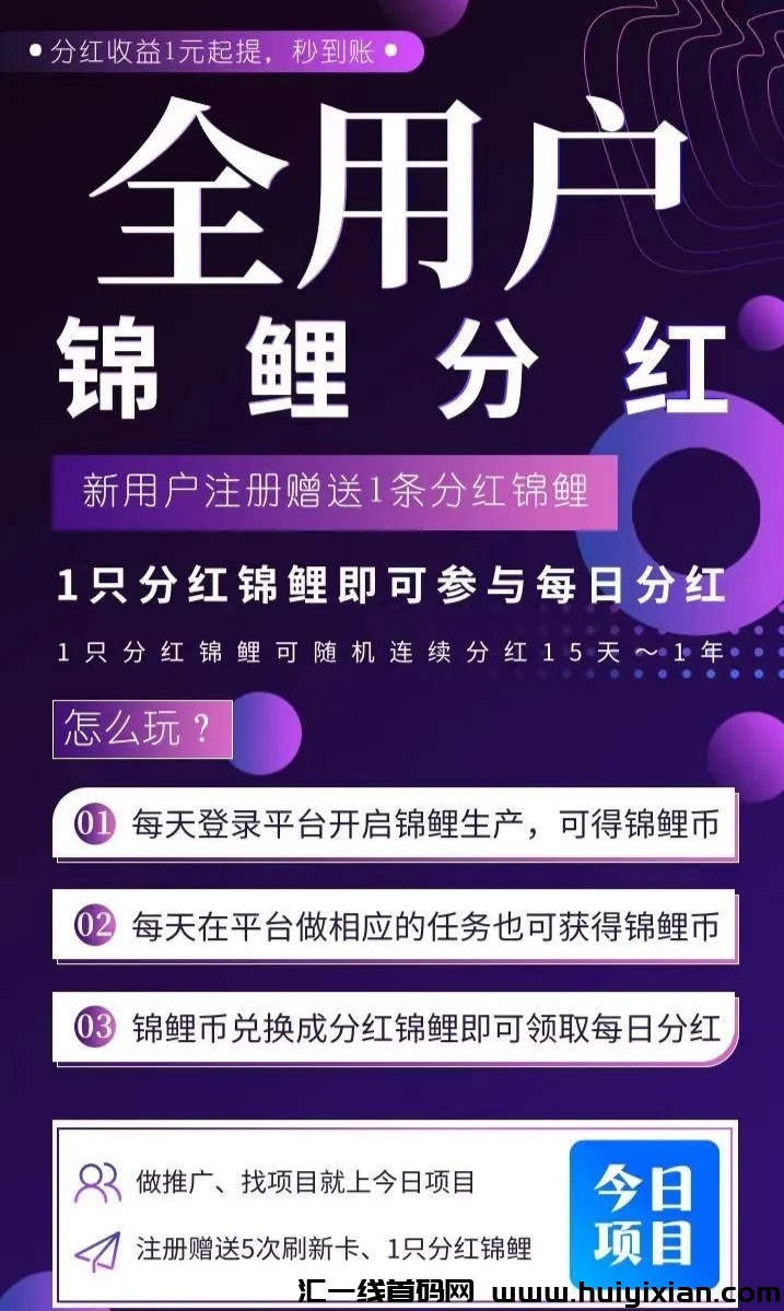 锦鲤分红,每日分红可零撸-汇一线首码网