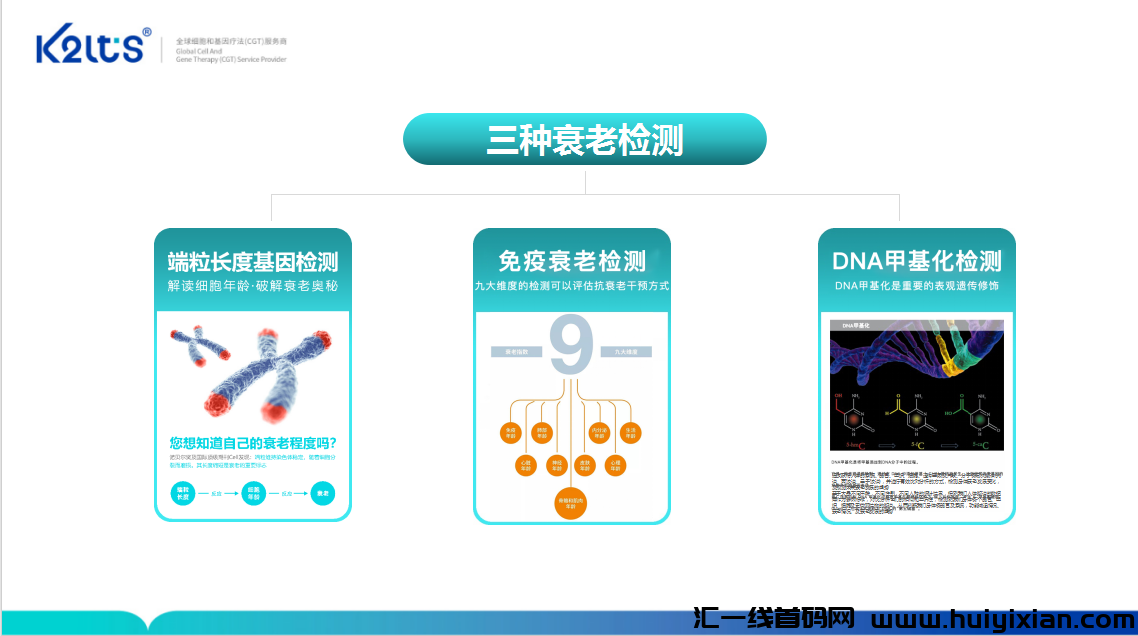 d642f8c3d220241118211156