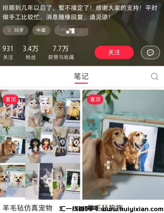 挖到宝了!被低估的宠物赛道,一条作品变现百万,操作方法都在这-汇一线首码网