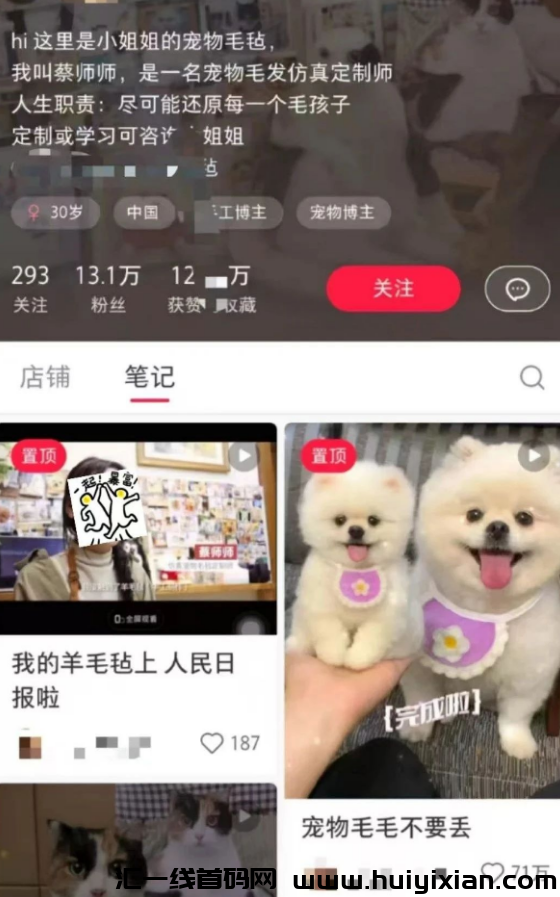 图片[3]-挖到宝了！被低估的宠物赛道，一条作品合规收益百万，操作方法都在这-汇一线首码网