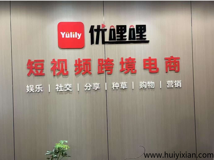 优哩哩模式解读,YLL全球跨境电商已出码-汇一线首码网
