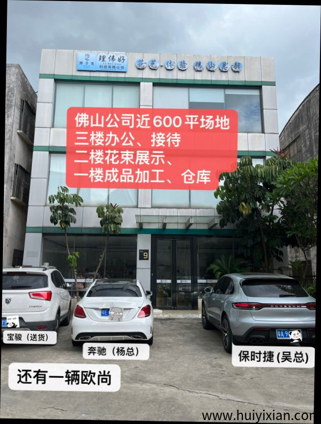 手工永生花,易上手几分钟可学会,订单长期稳!-汇一线首码网