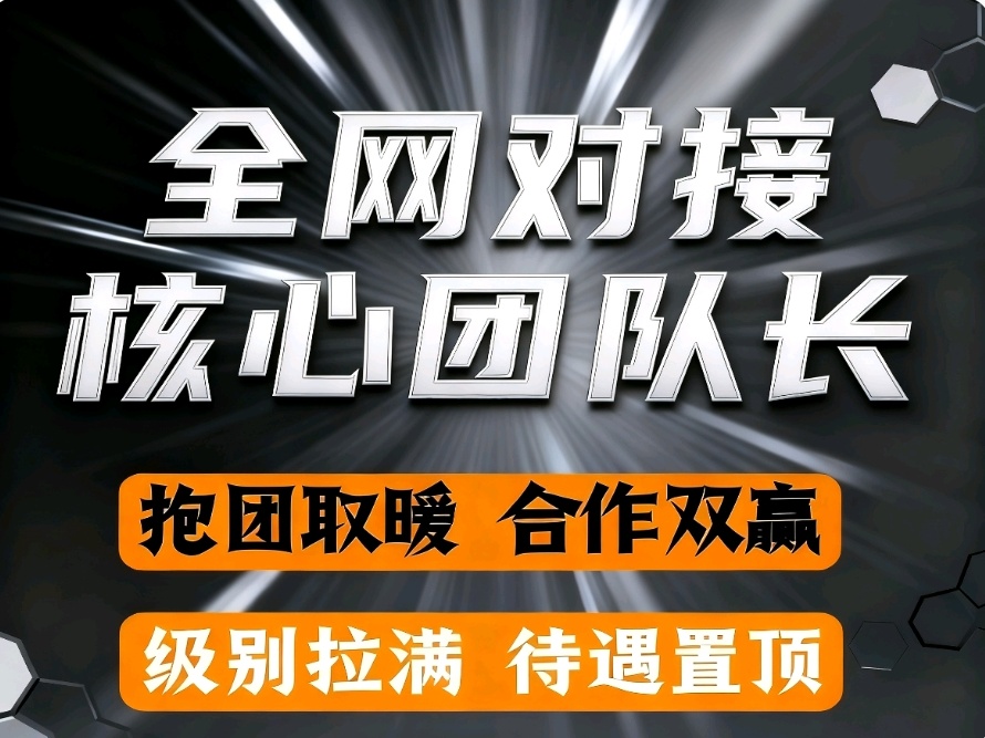 首码蓝海全新海外聊天综合管道收益-汇一线首码网