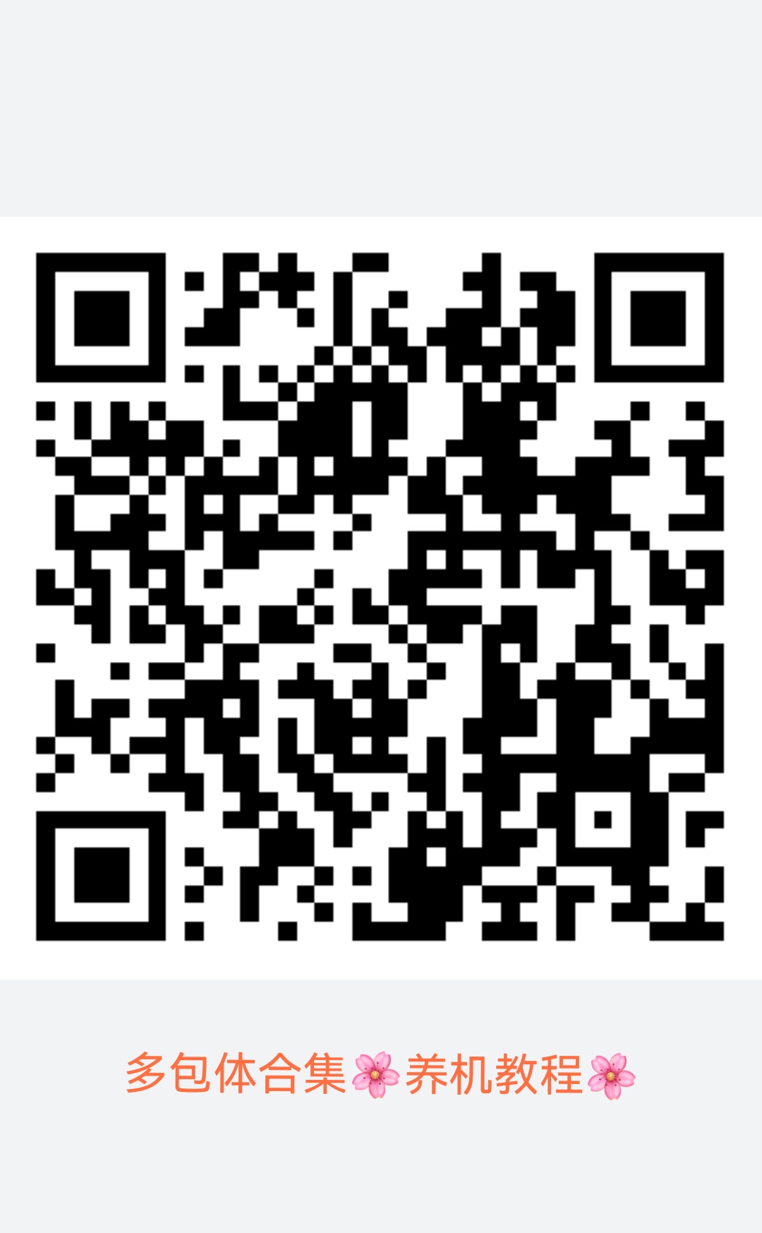 d4e2c6256f20251207125603