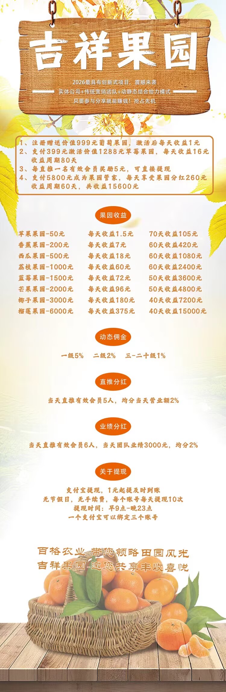 156005c5ba20260323131132