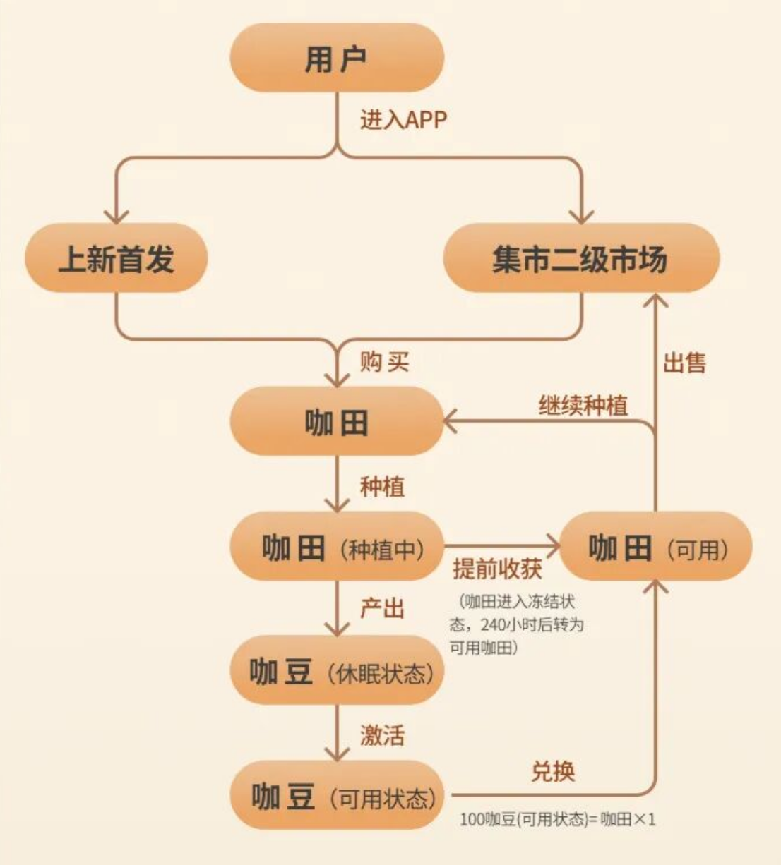 图片[7]-这才是真正的实体落地！能不能跟着《CADOO》新模式吃上这波红利？-汇一线首码网