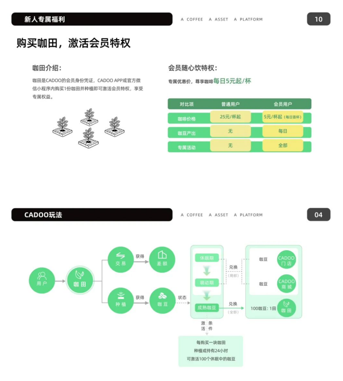 图片[9]-这才是真正的实体落地！能不能跟着《CADOO》新模式吃上这波红利？-汇一线首码网