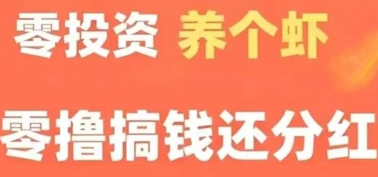 养成琻币虾0撸首码，琻币每日分0.66元-汇一线首码网