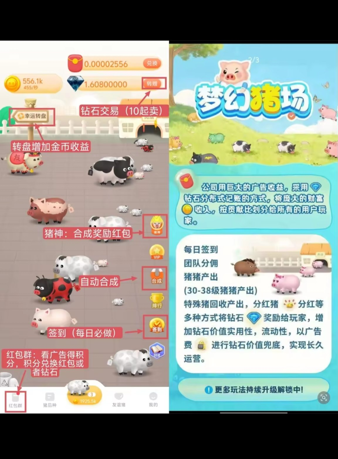 O撸梦幻猪场，一起来养猪共同致富。-汇一线首码网