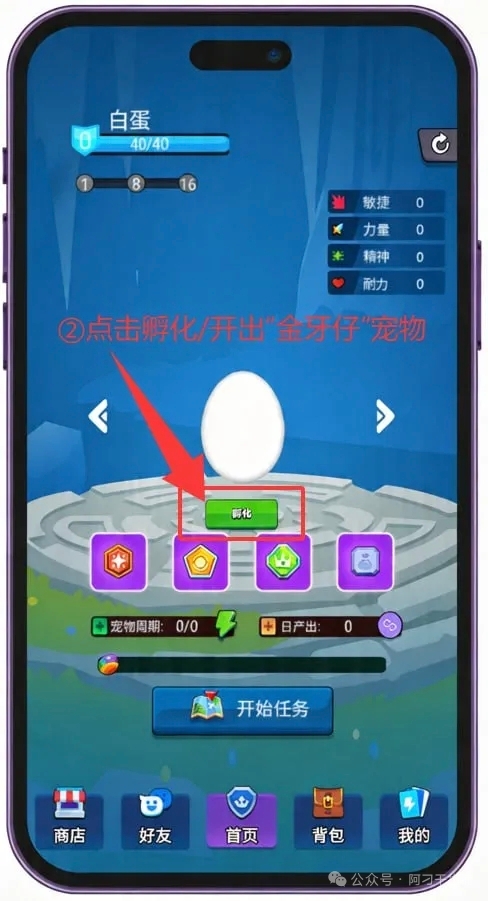 2491afcd1220260420005136