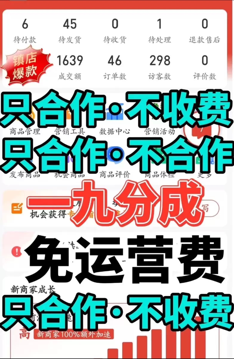 拼多多电商,只合作不收费 分润你9我1-汇一线首码网