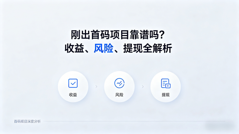图片[2]-刚出首码项目靠谱吗？收益、风险、提取全解析_汇一线首码网-汇一线首码网