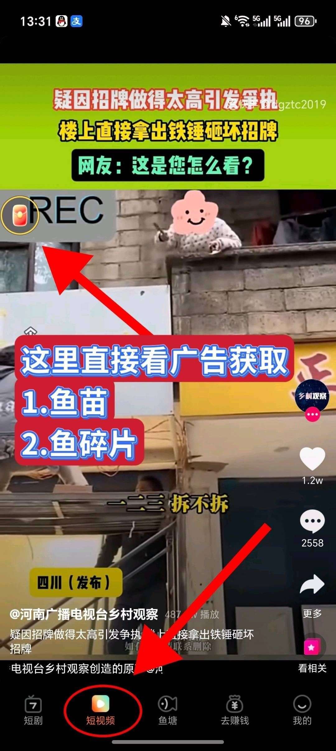 493becfb3e20260510113224