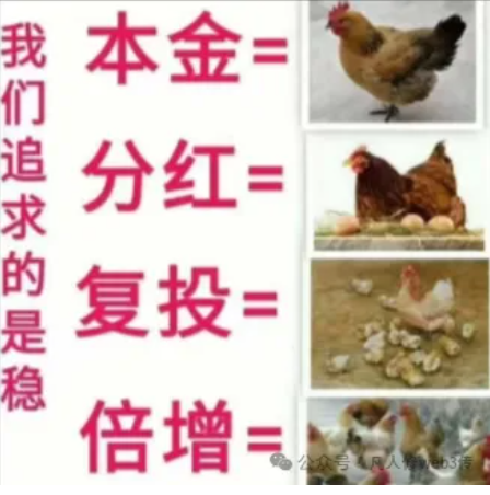 链游首码零撸MallEX国际电商购物 一键领取,链门声望生活卷轴模式!-汇一线首码网