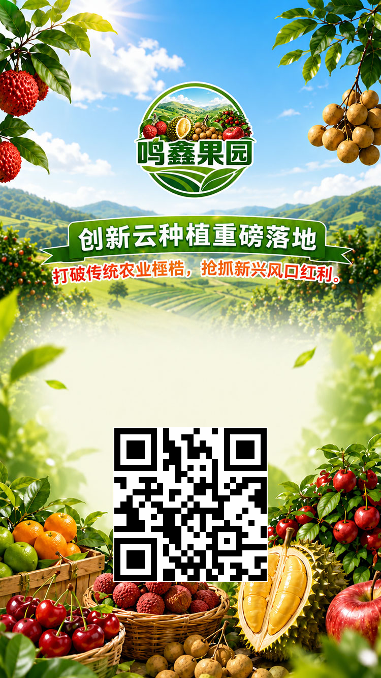 06be5705f420260614081355