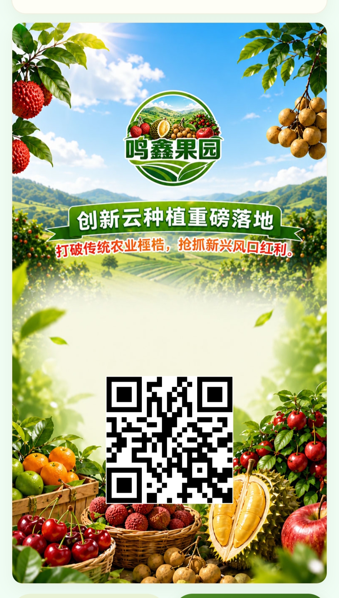 鸣鑫果园今天首码上线注册福利注册赠送杨梅树-汇一线首码网