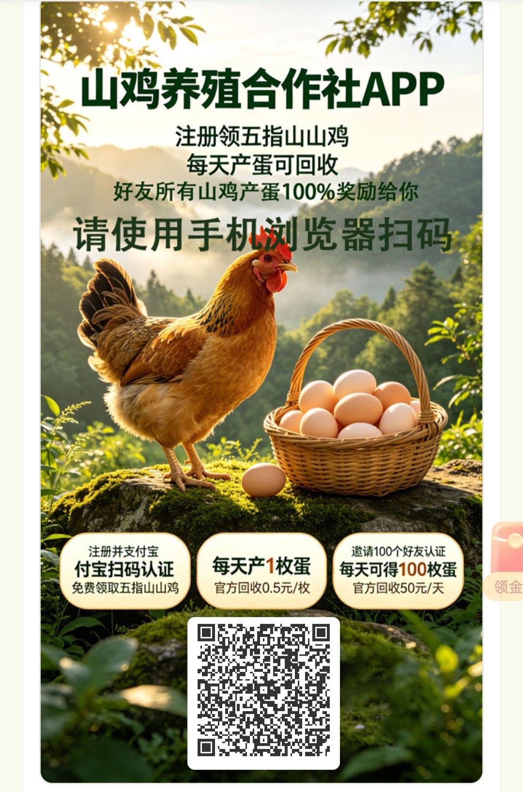 山鸡养殖合作社,免费领取五指山山鸡,每天产1牧鸡蛋,每个官方回收0.5-汇一线首码网