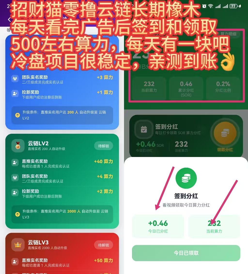 0285986d5e20260806032626