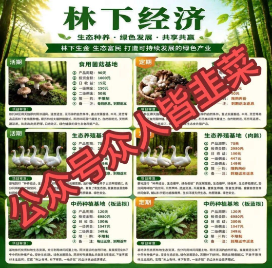 “稳赚不赔”又出现了，这6个平台要警惕-汇一线首码网