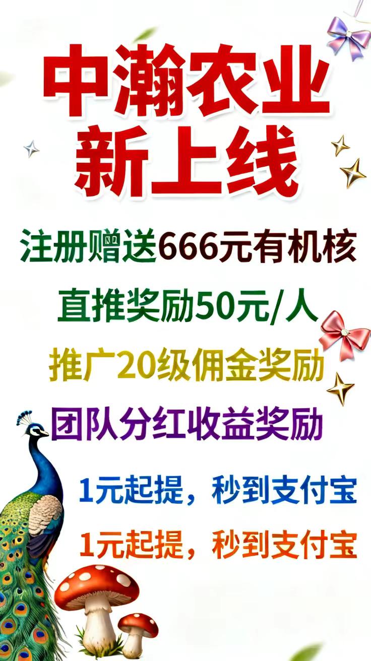 486d4b355620260904163634