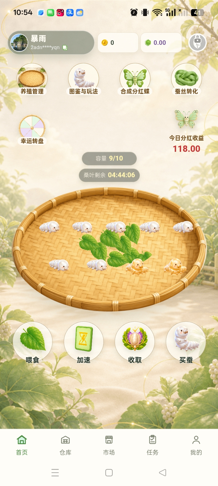 041993119320261011110156