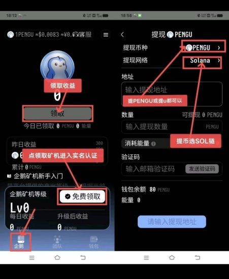 企鹅注册简单实名赠送送80Pengo①台永久矿机每日产出40Pengo-汇一线首码网